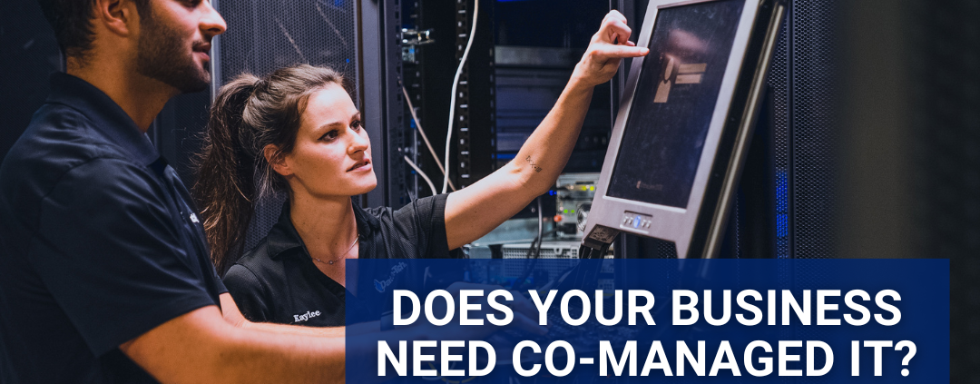 Co-Managed IT?