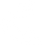 IT Strategy Icon